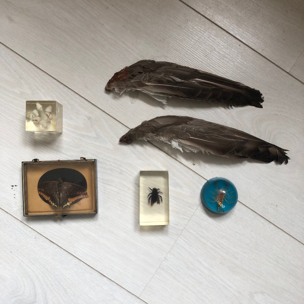 Lotje rariteiten dieren, Ophalen of Verzenden, Gebruikt, Wild dier, Beeldje of Figuurtje