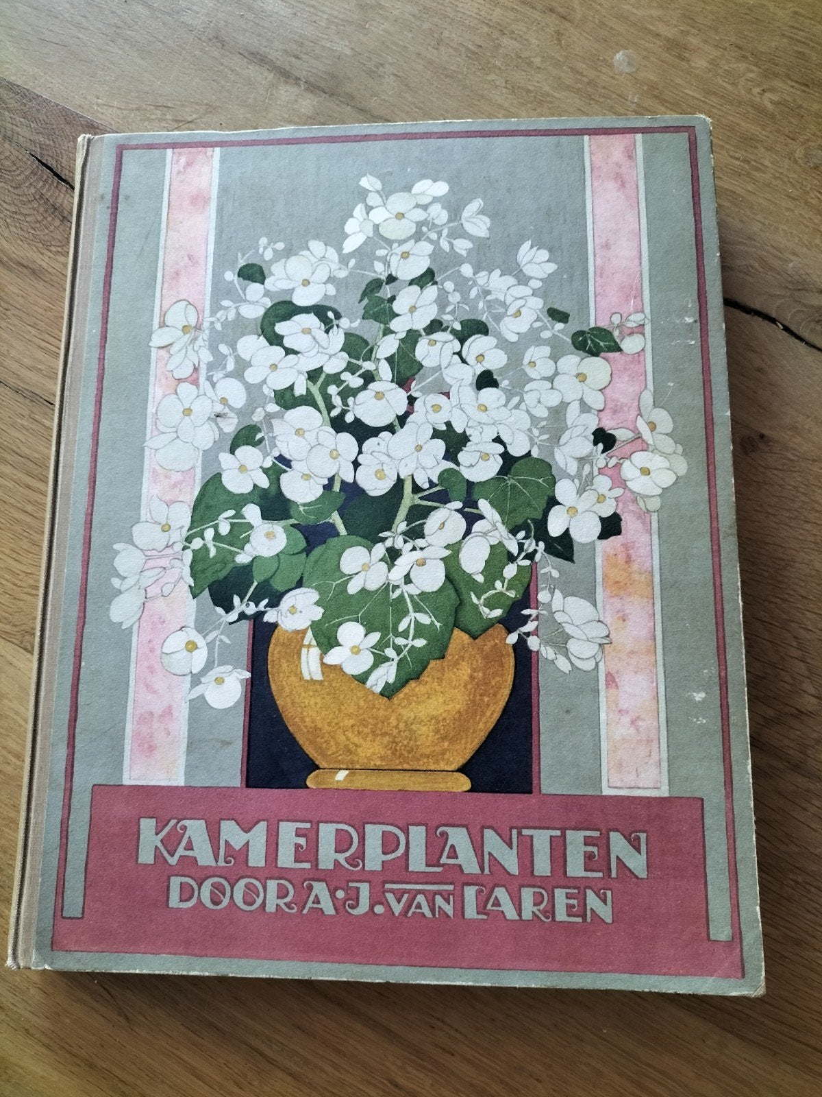 Verkade album kamerplanten, Boeken, Ophalen of Verzenden, Gelezen