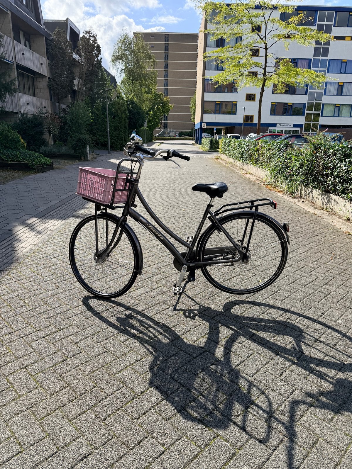 Nette Sparta damesfiets met roze mand, Ophalen, Sparta, Velgrem, 53 tot 56 cm