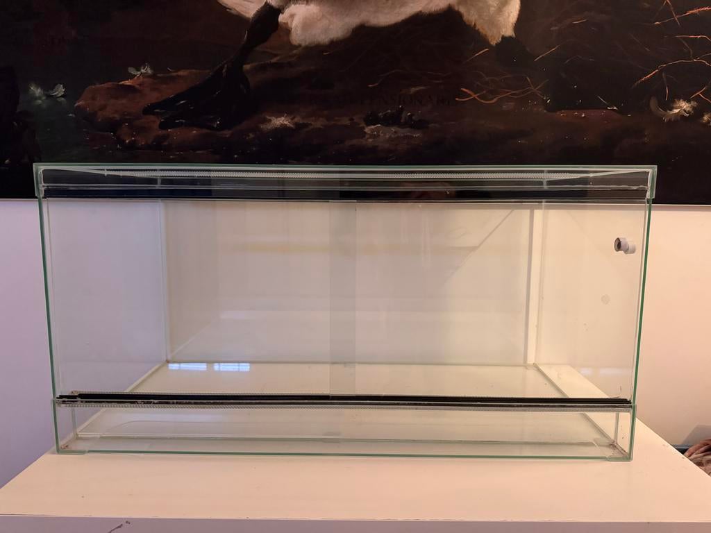 Hamster terarium, Ophalen