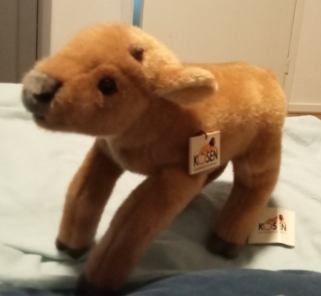 Prachtig nieuw handgemaakt kalf van Koesen, zacht en mooi!, Overige merken, Nieuw, Middelgroot (20 tot 80 cm), Verzenden