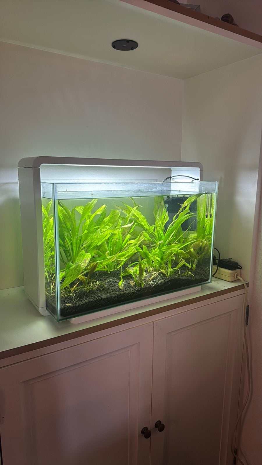 Aquarium Superfish home 60, Ophalen, Zo goed als nieuw, Leeg aquarium