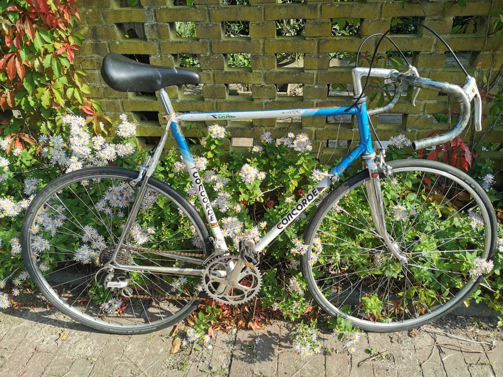 Vintage wielrenner fiets Concorde zie fotos, Fietsen en Brommers, 28 inch, Gebruikt, Velgrem, Ophalen