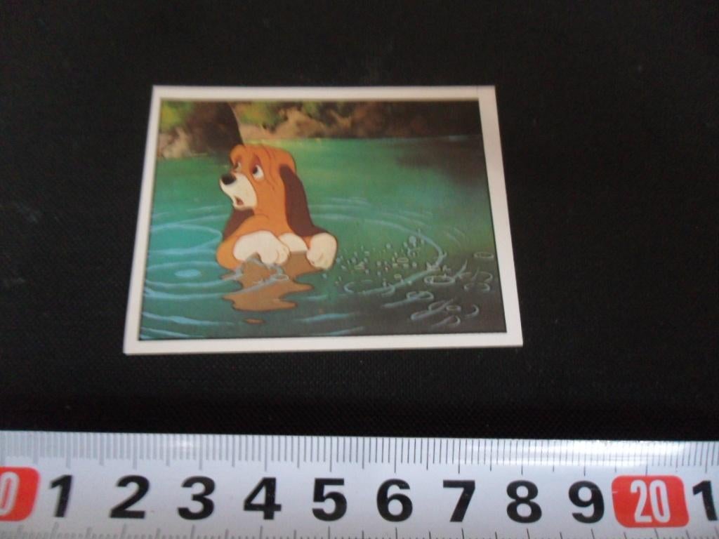 sticker PANINI Frank & Frey 114, Ophalen, Zo goed als nieuw, Sticker
