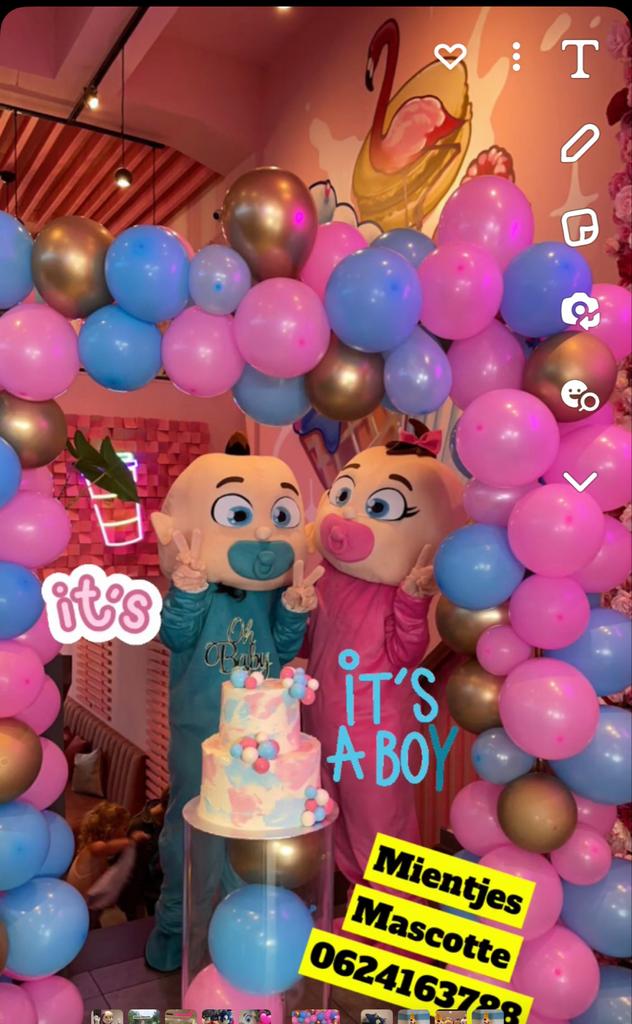Baby mascotte huren voor Gender Reveal, Babyshower, Feest, Ophalen of Verzenden, Zo goed als nieuw, Geboorte of Huwelijk