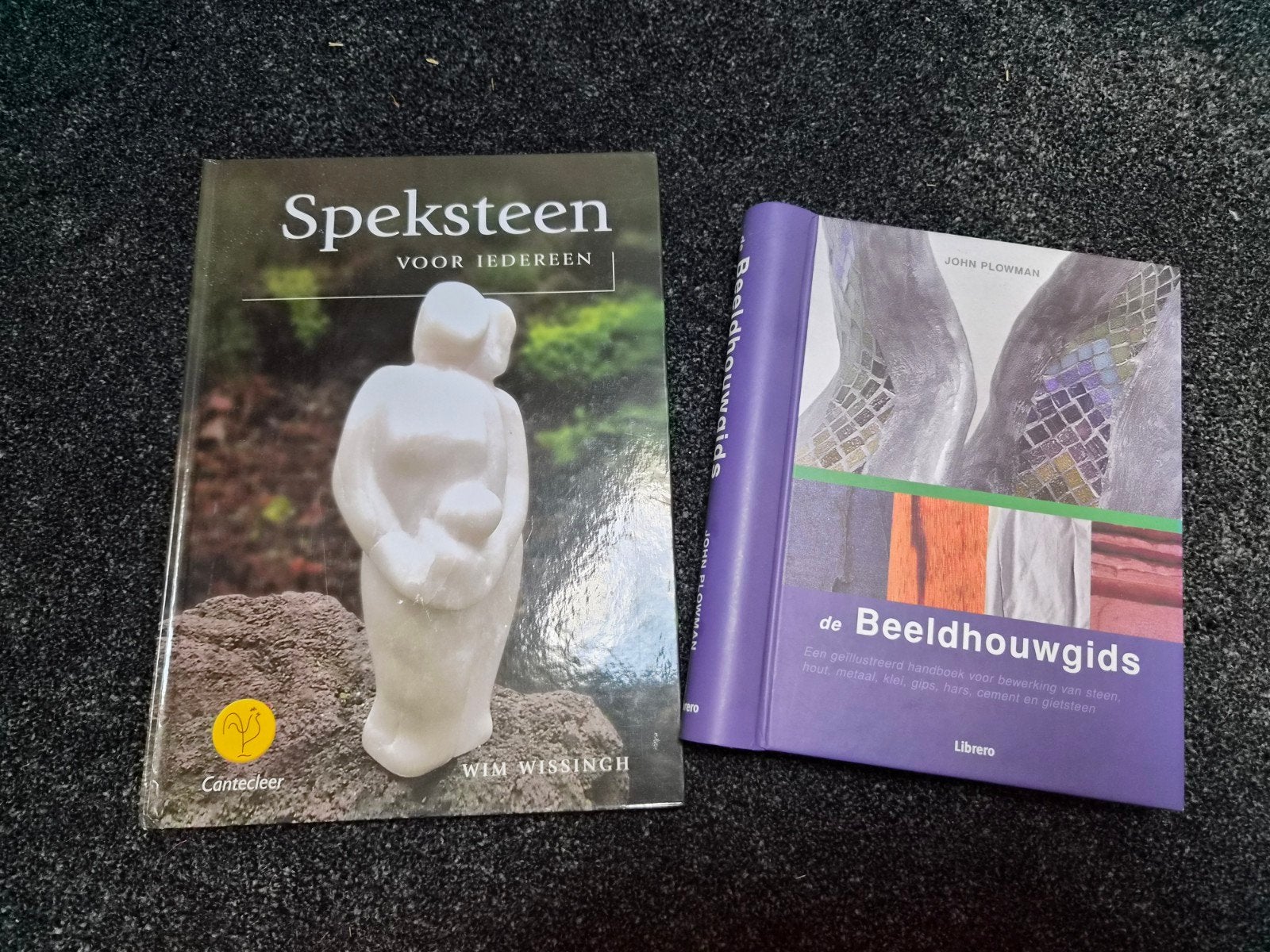 Boeken beeldhouwen, Ophalen of Verzenden, Overige onderwerpen