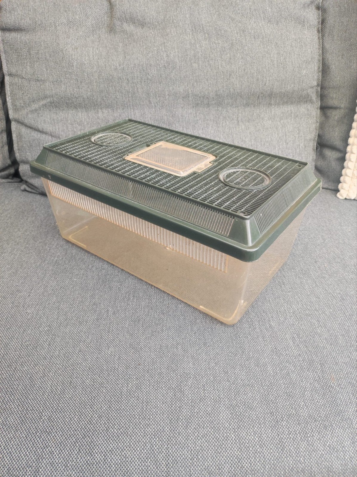 verblijf, Ophalen, Gebruikt, Terrarium of Paludarium