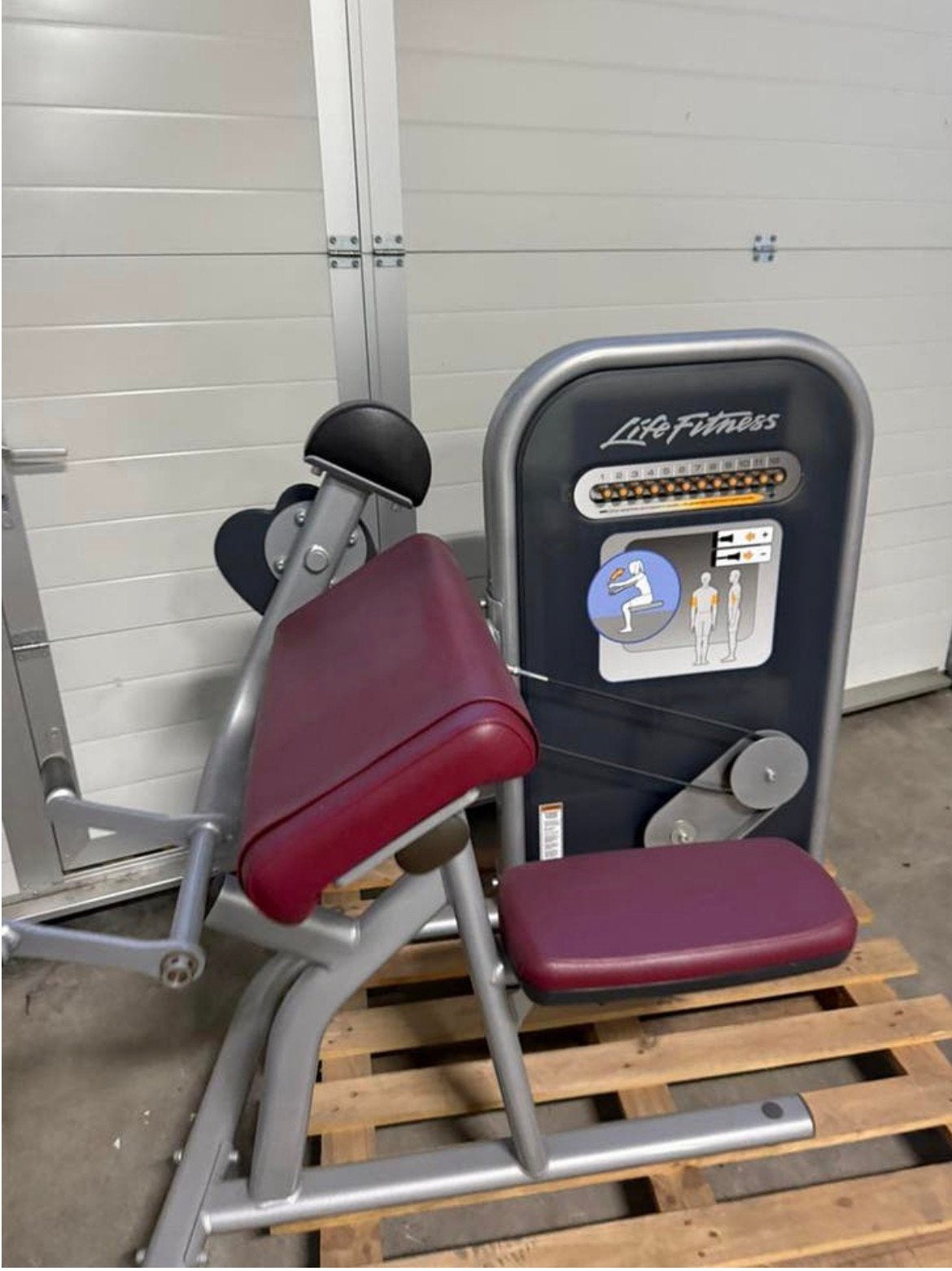 Life Fitness Circuit Bicep curl / Biceps machine, Ophalen, Benen, Gebruikt, -