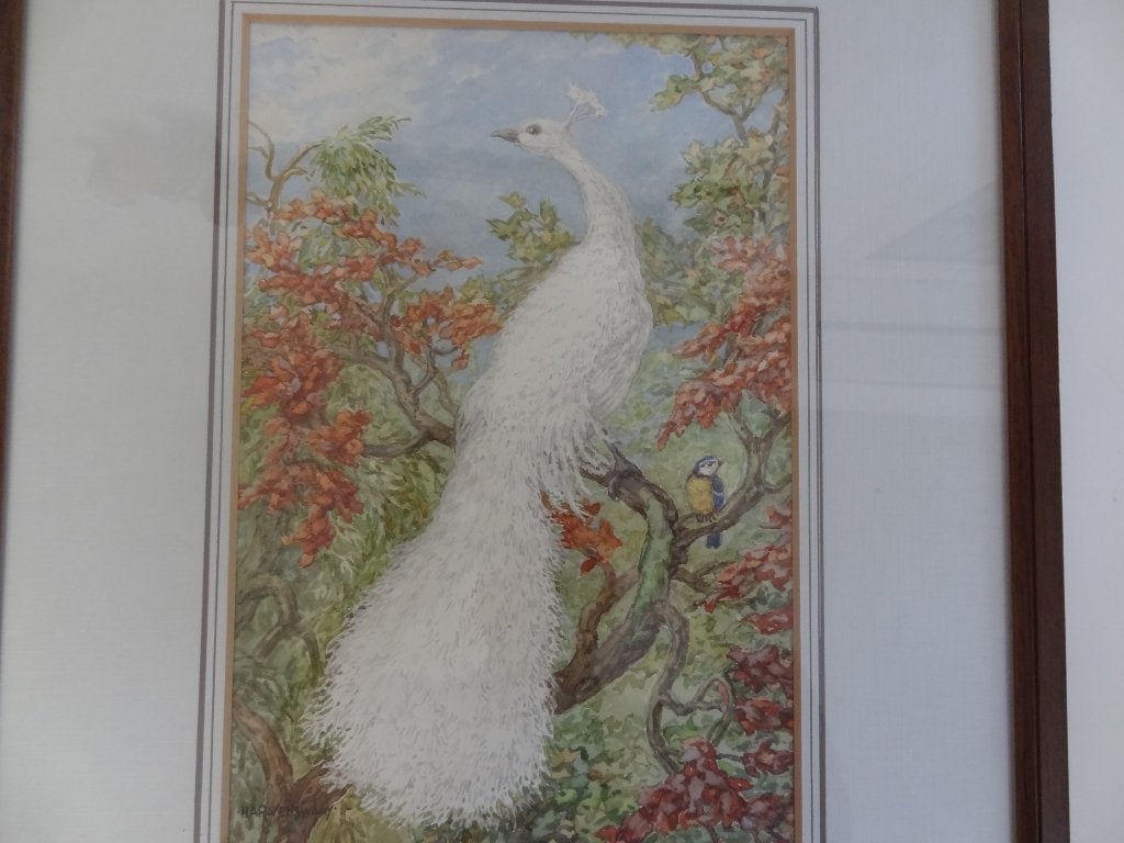 H.A. Ravenswaay aquarel witte pauw en koolmees., Realistisch, Dieren, Ophalen of Verzenden, Aquarel