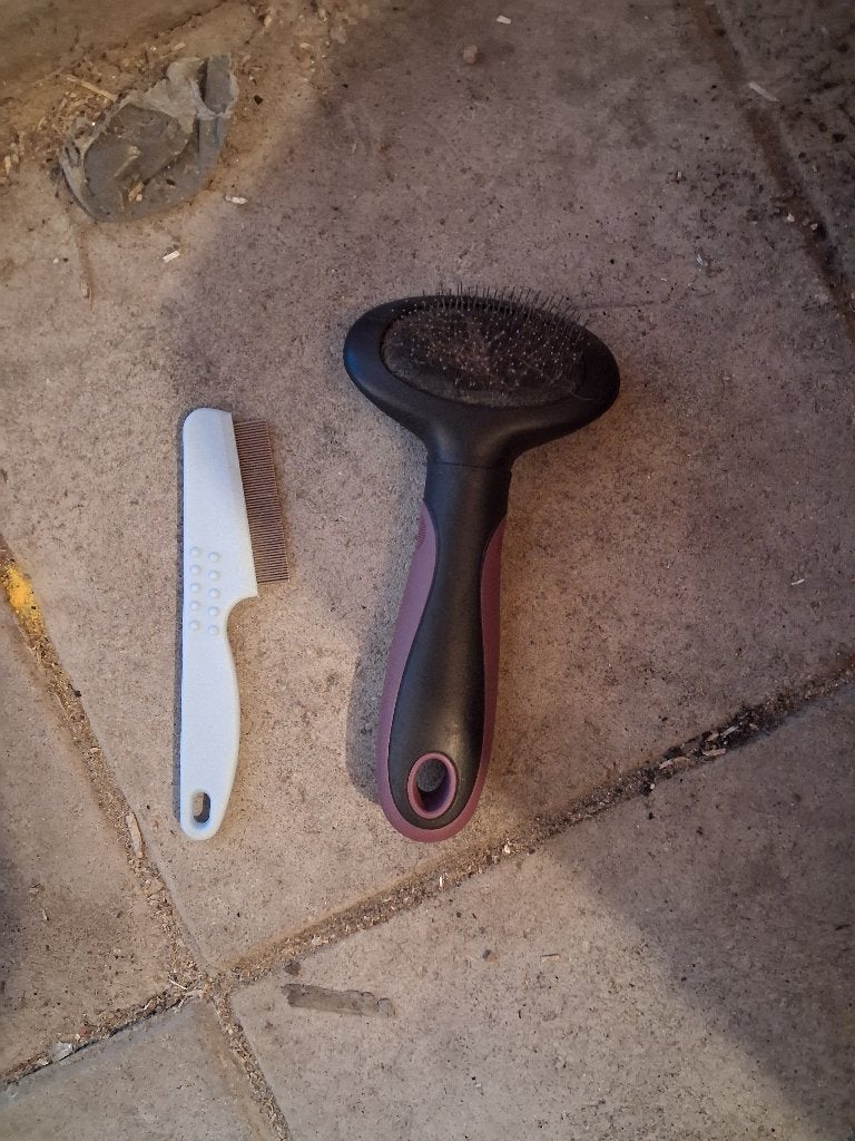 Kattenborstel en -kam, Dieren en Toebehoren, Katten-accessoires, Ophalen, Gebruikt
