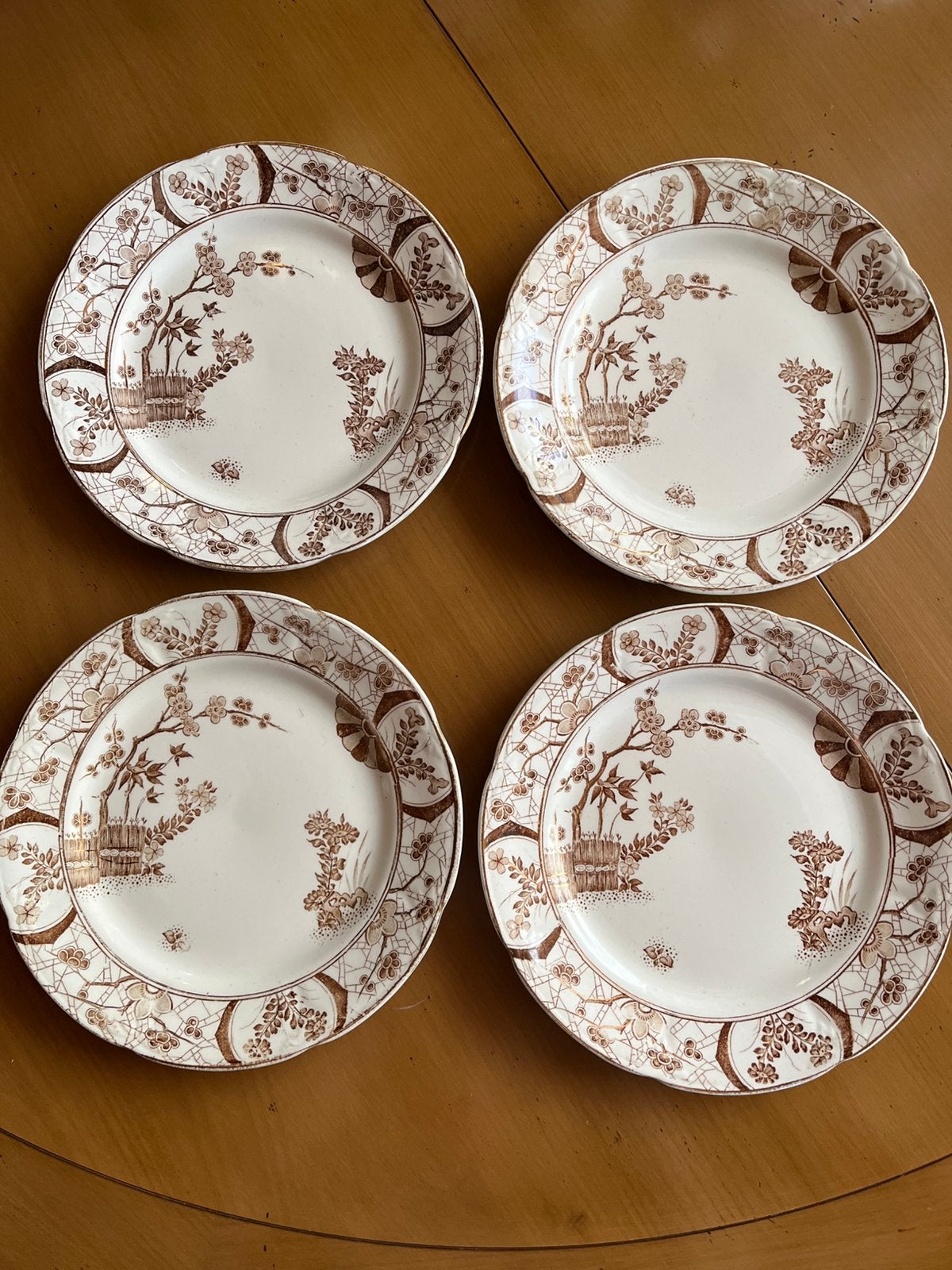 Petrus Ragout Maastricht Nankun 4 borden 20 cm, Ophalen of Verzenden