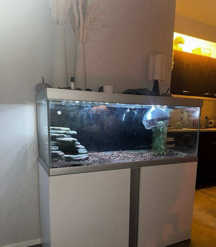 Terrarium en eventueel toebehoren, Ophalen