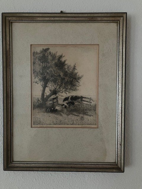 Litho, Ophalen, Gelimiteerde oplage, Lithografie, Dieren en Natuur