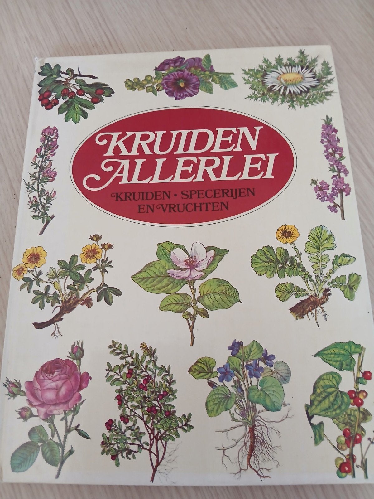 Kruiden allerlei. Kruiden.Specerijen en vruchten WD015, Ophalen of Verzenden