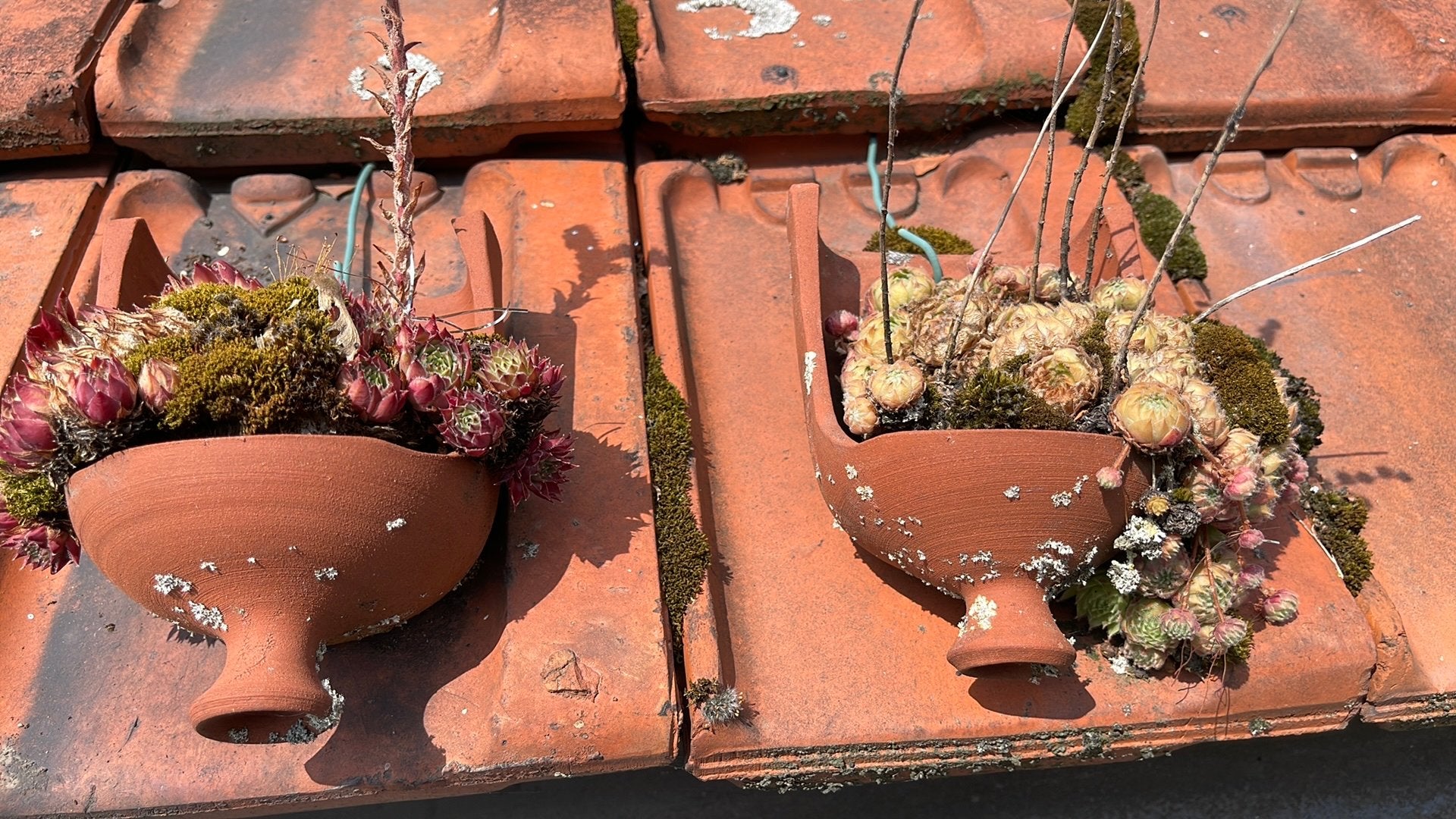 De Vogelpot; 15 stuks terracotta potjes, Tuin en Terras, Overige materialen, Gebruikt, Minder dan 30 cm, Balkon