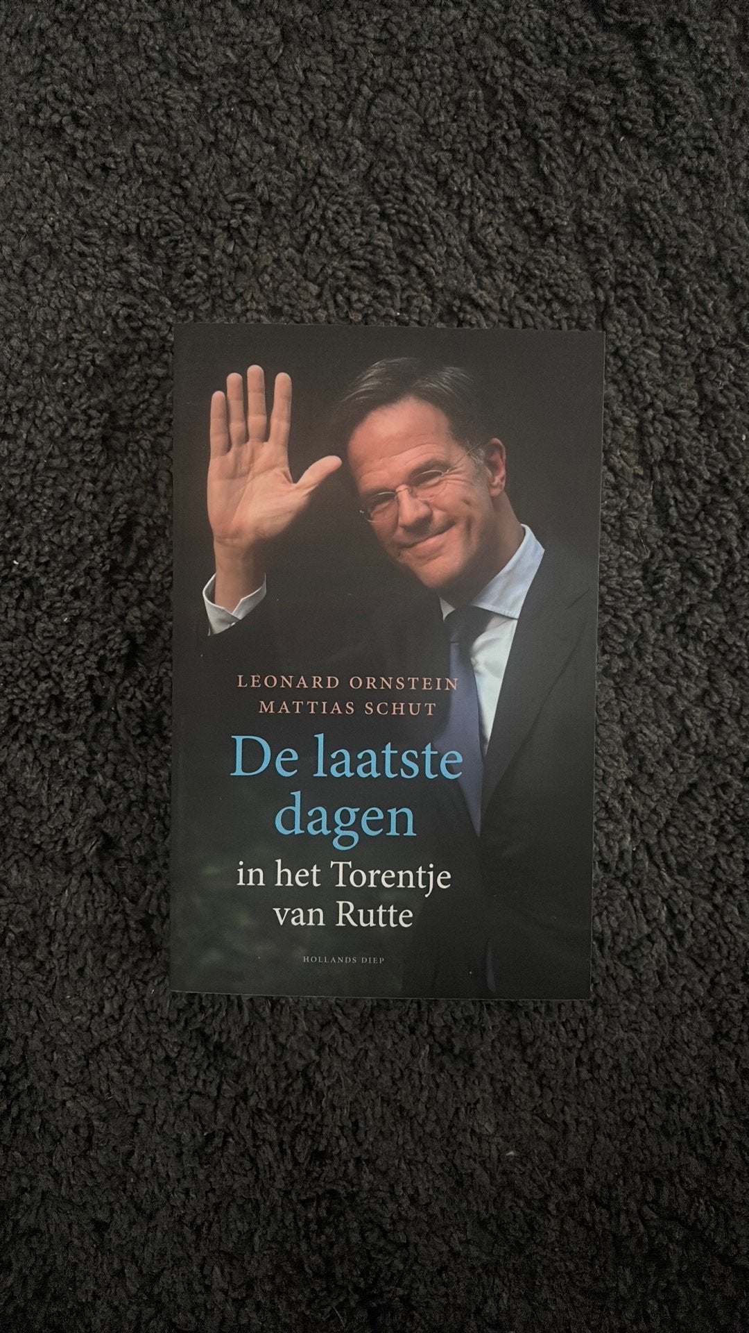 Leonard Ornstein - De laatste dagen, Ophalen of Verzenden, Zo goed als nieuw, Leonard Ornstein; Mattias Schut