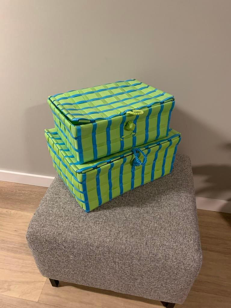 Set van 2 opbergmanden - Groen en blauw, Kunststof, Mand, Ophalen of Verzenden, Zo goed als nieuw
