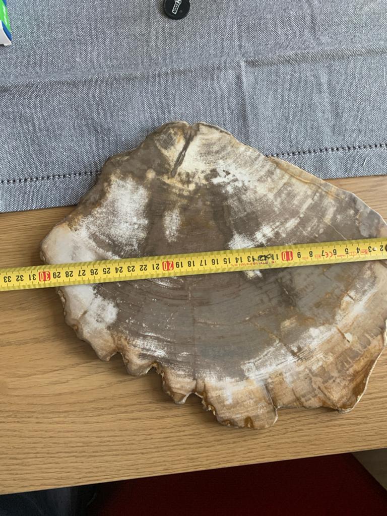 Gepolijst Versteend Hout Plak - Uniek Decoratiestuk, Ophalen of Verzenden, Mineraal