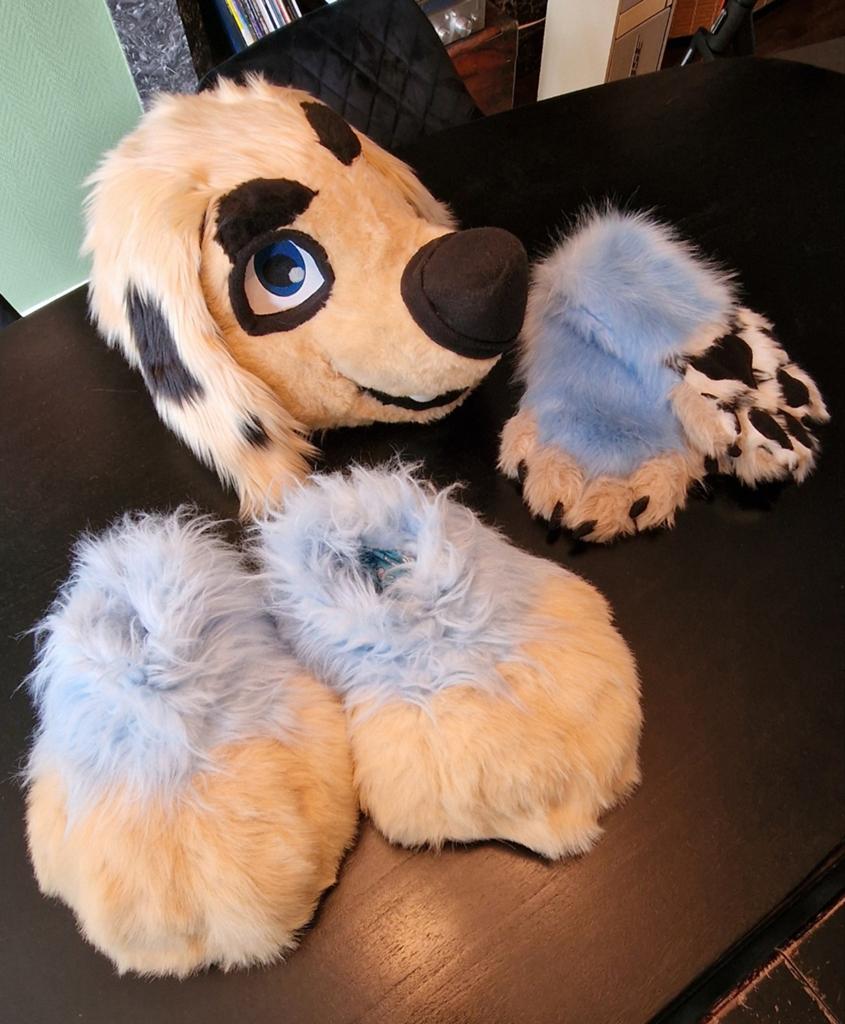 Fursuit Hoofd en Poten - Hond (Gemaakt door TNfur), Ophalen of Verzenden, Zo goed als nieuw, Toneelattributen of Onderdelen