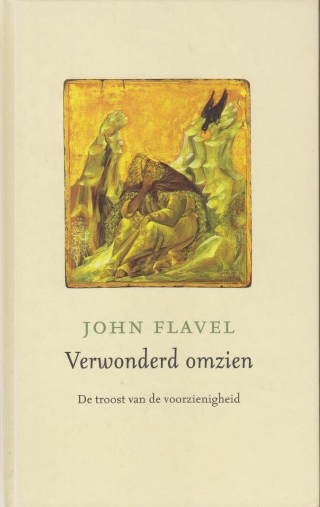 John Flavel: Verwonderd omzien., Boeken, Gelezen, Christendom | Protestants, Ophalen of Verzenden, John Flavel