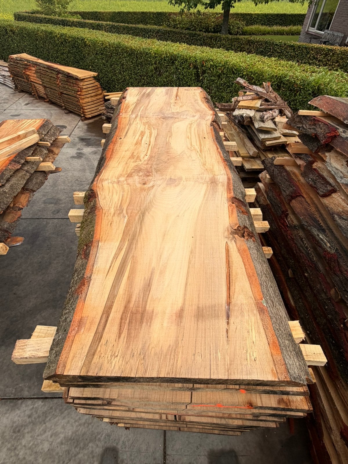 Mooie grote beuken Schaaldelen scherpe prijs, Ophalen, Zo goed als nieuw, 250 cm of meer, Planken