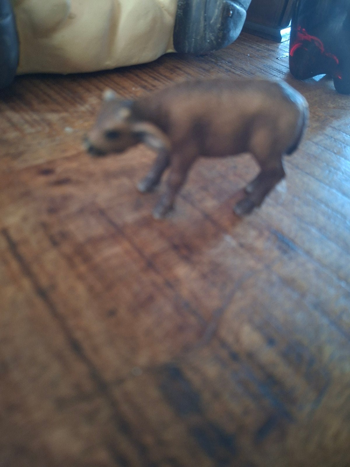Schleich buffel kalf, Ophalen of Verzenden, Zo goed als nieuw, Overige soorten, Beeldje of Figuurtje