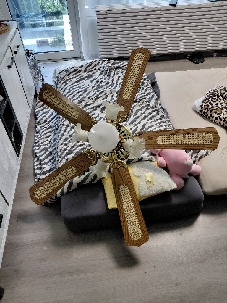 Ventilator, Ophalen, Gebruikt, Plafondventilator