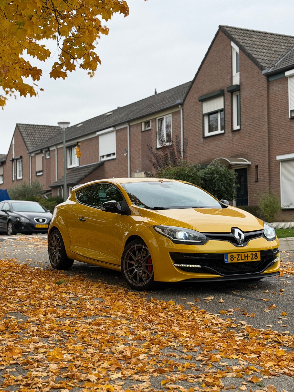 Renault Mégane RS 2.0 16V Turbo 265pk, BOSE, NL AUTO!, Auto's, Renault, Particulier, Mégane, Benzine, E, Coupé, Handgeschakeld