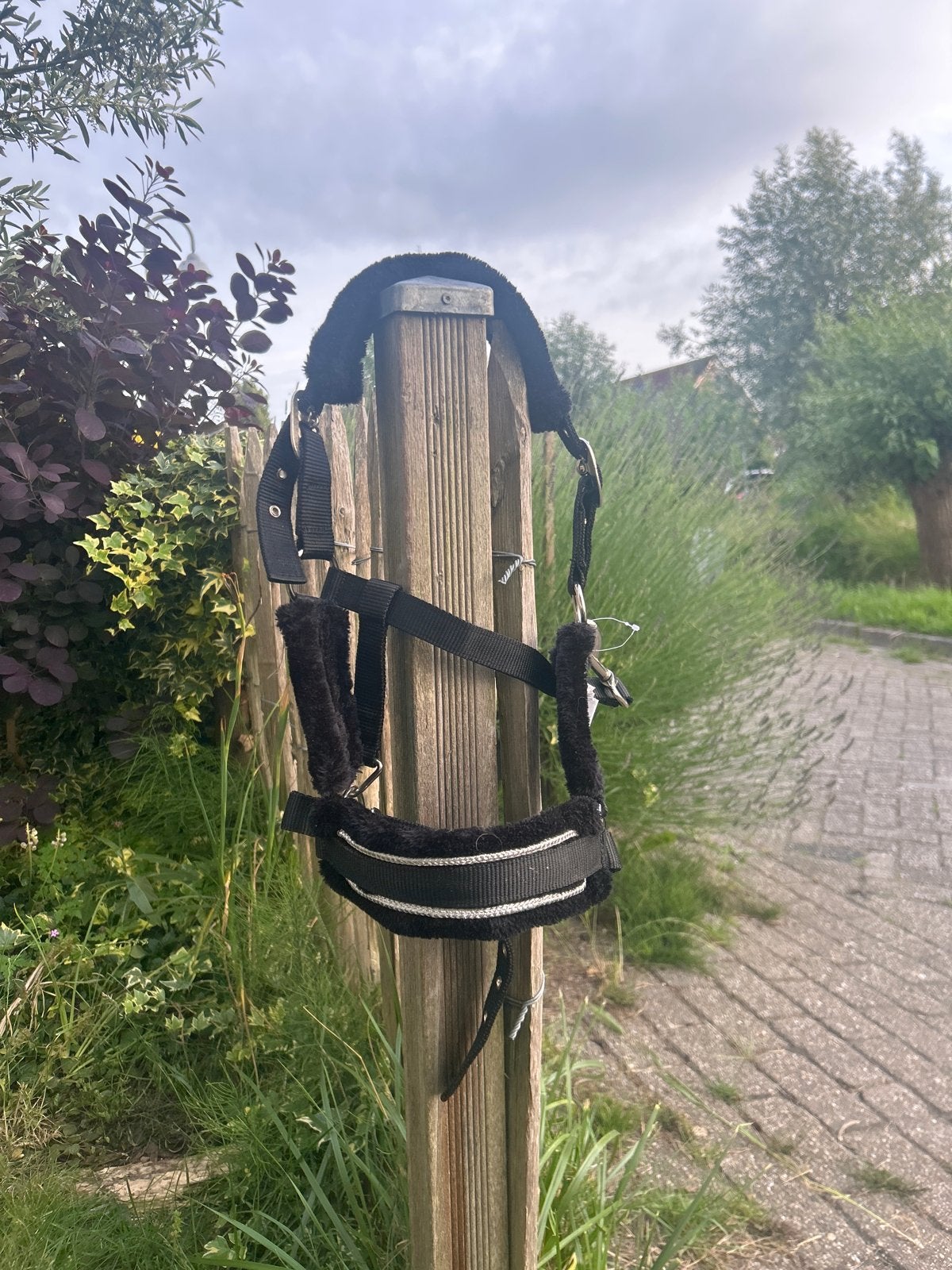 Halster+halster touw!, Ophalen, Zo goed als nieuw, Recreatie