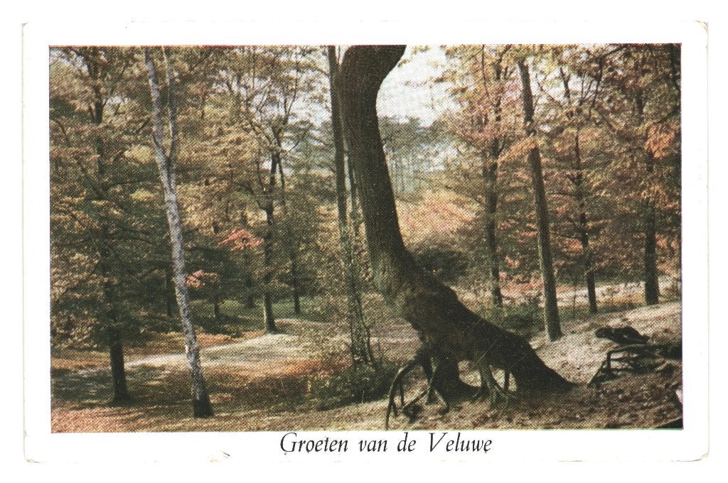 947134 Veluwe Poststempel Ermelo 1958 Gelopen met Postzegel, Ophalen of Verzenden, 1940 tot 1960, Gelopen, Gelderland