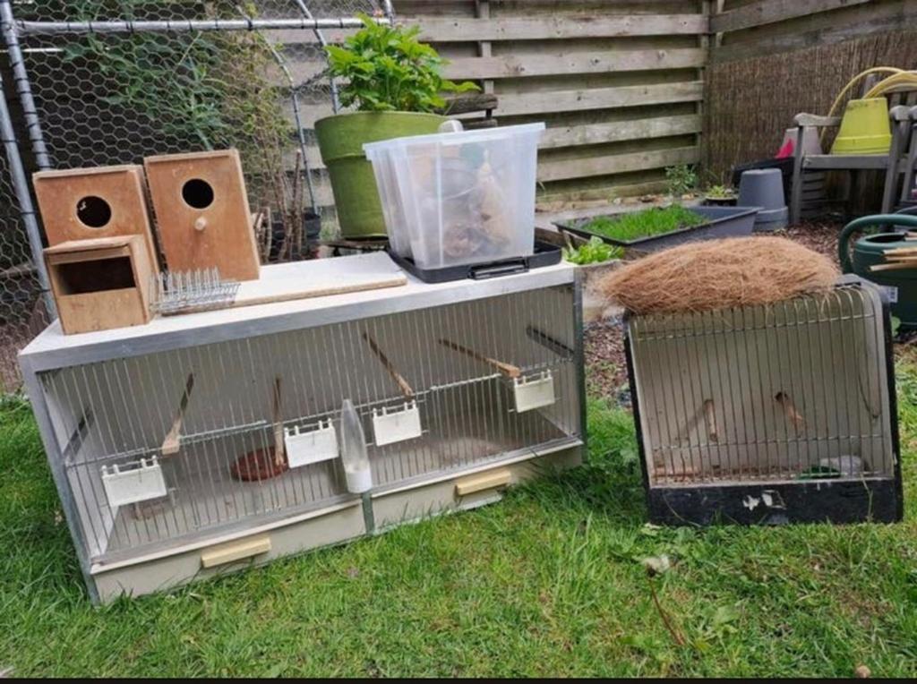 Vogelbenodigdheden, kweekkooi, vervoerskooi, Dieren en Toebehoren, Ophalen, Gebruikt, Hout, Broedkooi of Kweekkooi