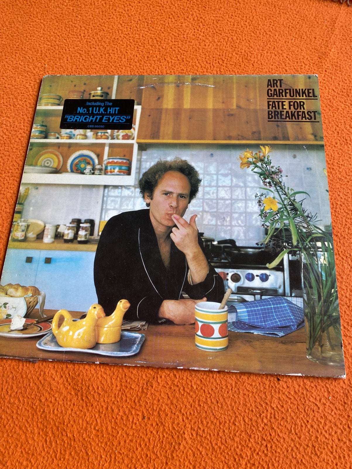 Art Garfunkel, Cd's en Dvd's, Vinyl | Overige Vinyl, Ophalen of Verzenden, Zo goed als nieuw, 12 inch
