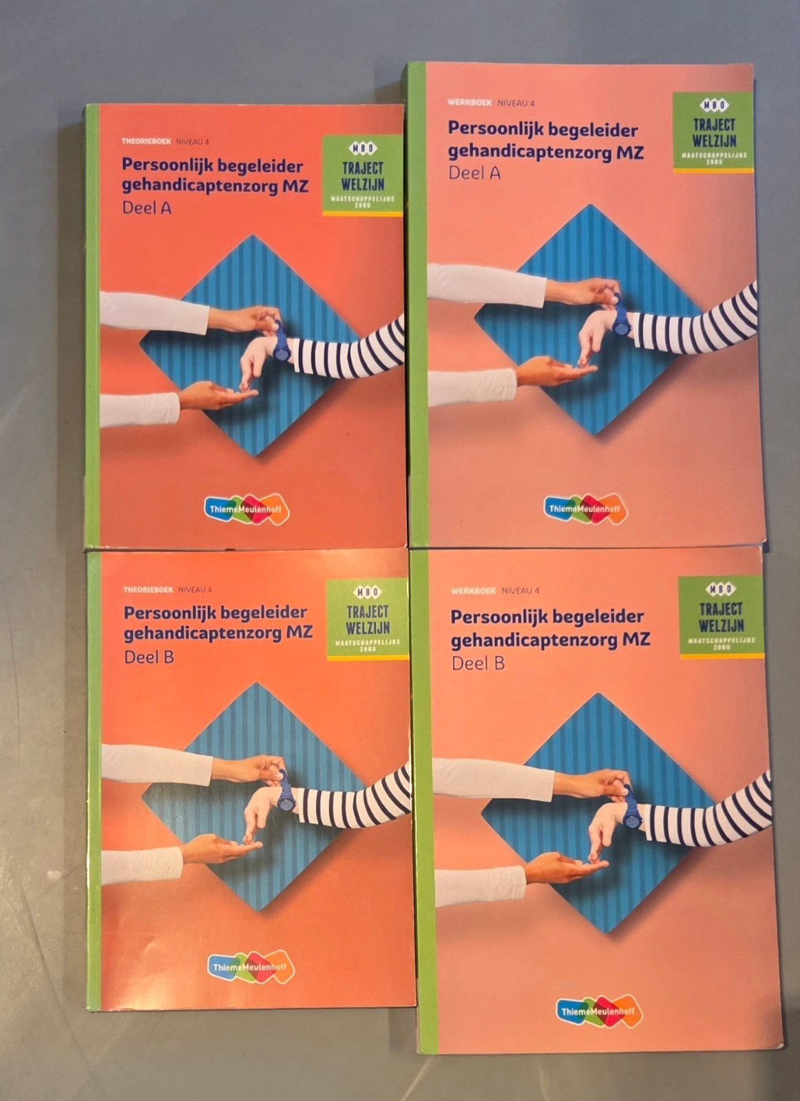 Traject Welzijn Theorieboek Persoonlijk begeleider gehandica, Boeken, Ophalen, Zo goed als nieuw, Overige niveaus, Nederlands