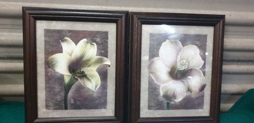 schilderij prenten bloemen, Ophalen of Verzenden, 'T Olde Gre-j, Info@toldegrej.nl, Endepoelstraat 20f Didam