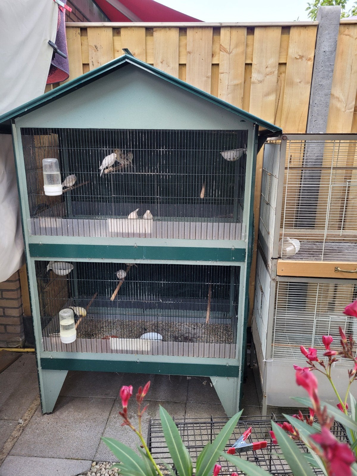 vogelkooi, Ophalen, Zo goed als nieuw, Kooi, 90 cm of meer