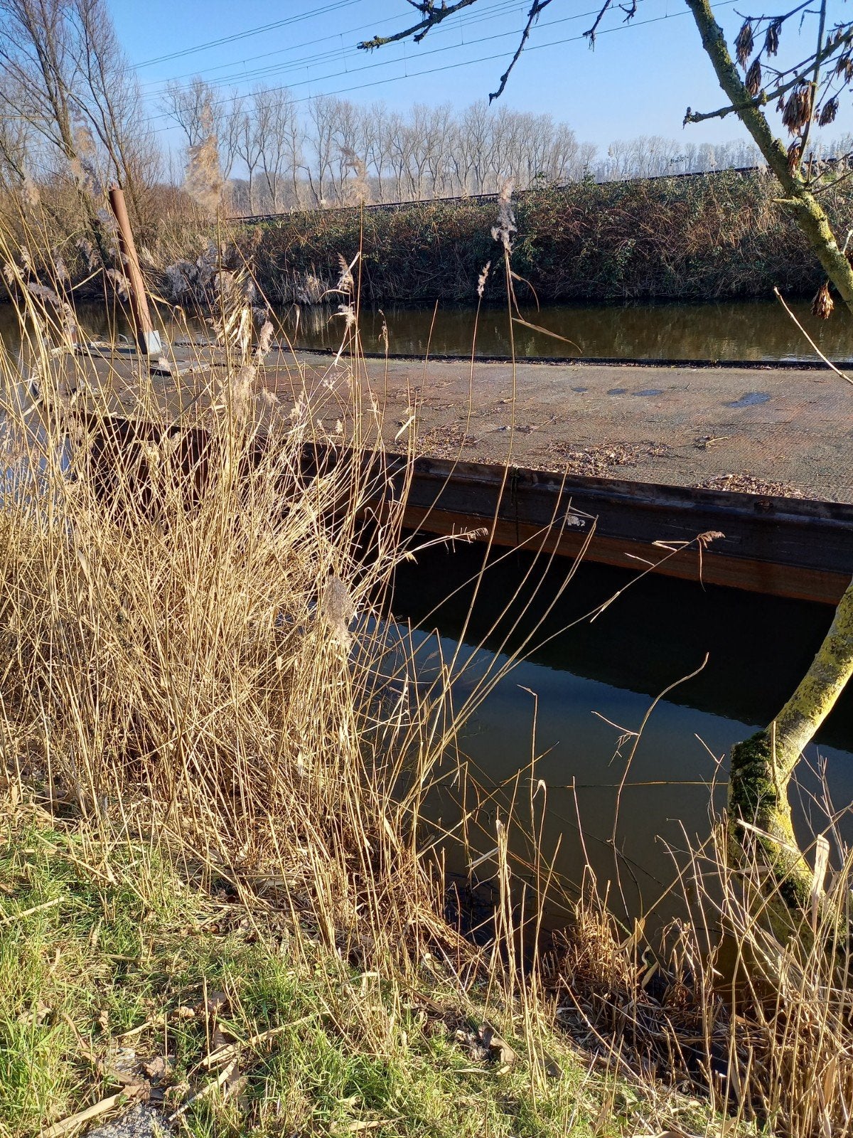 dekschuit werkboot te huur, Ophalen of Verzenden
