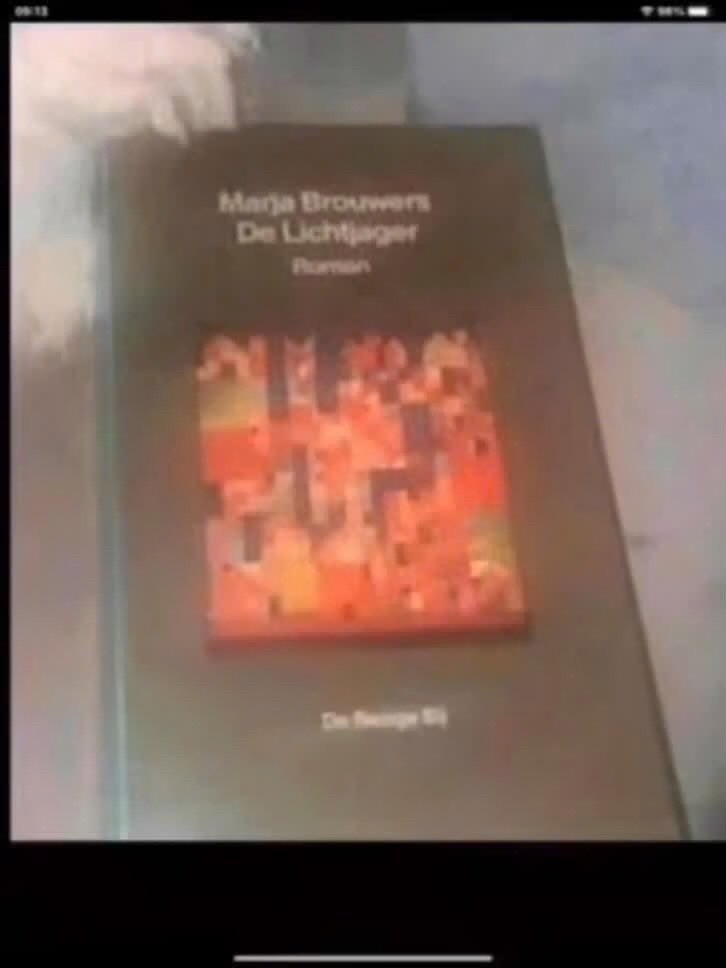 Marja Brouwers - De Lichtjager Roman, Zo goed als nieuw, Nederland, Ophalen of Verzenden, Marja Brouwers