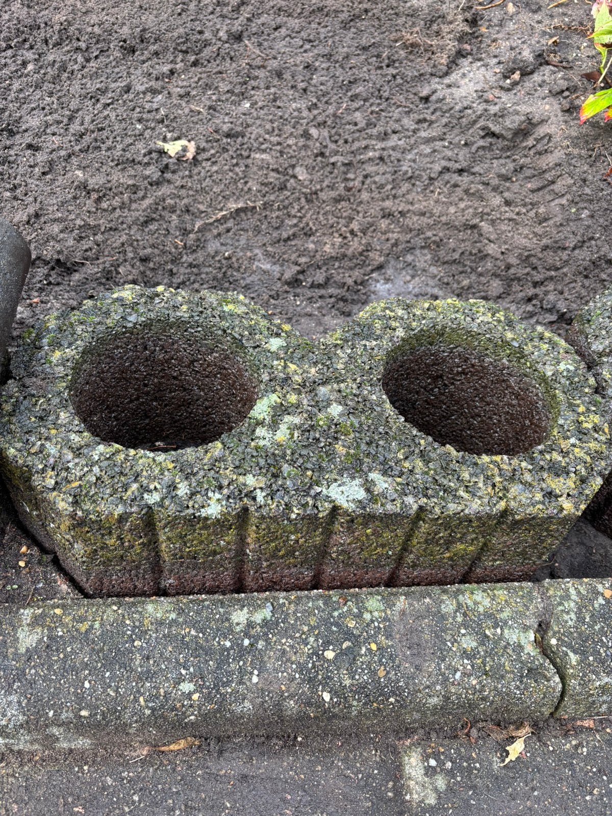 Gratis af te halen 6 stuks, Tuin en Terras, Ophalen, Gebruikt, Minder dan 100 cm