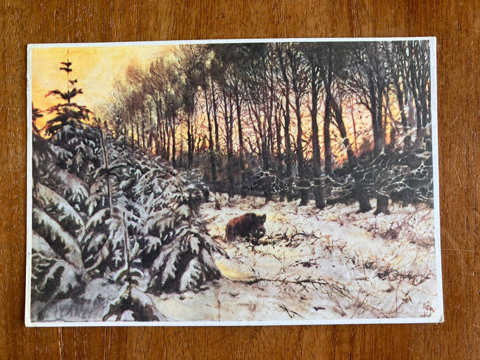 Rien Poortvliet. Uit de dekking komend wild zwijn., Verzamelen, Ansichtkaarten | Themakaarten, Gelopen, 1980 tot heden, Natuur