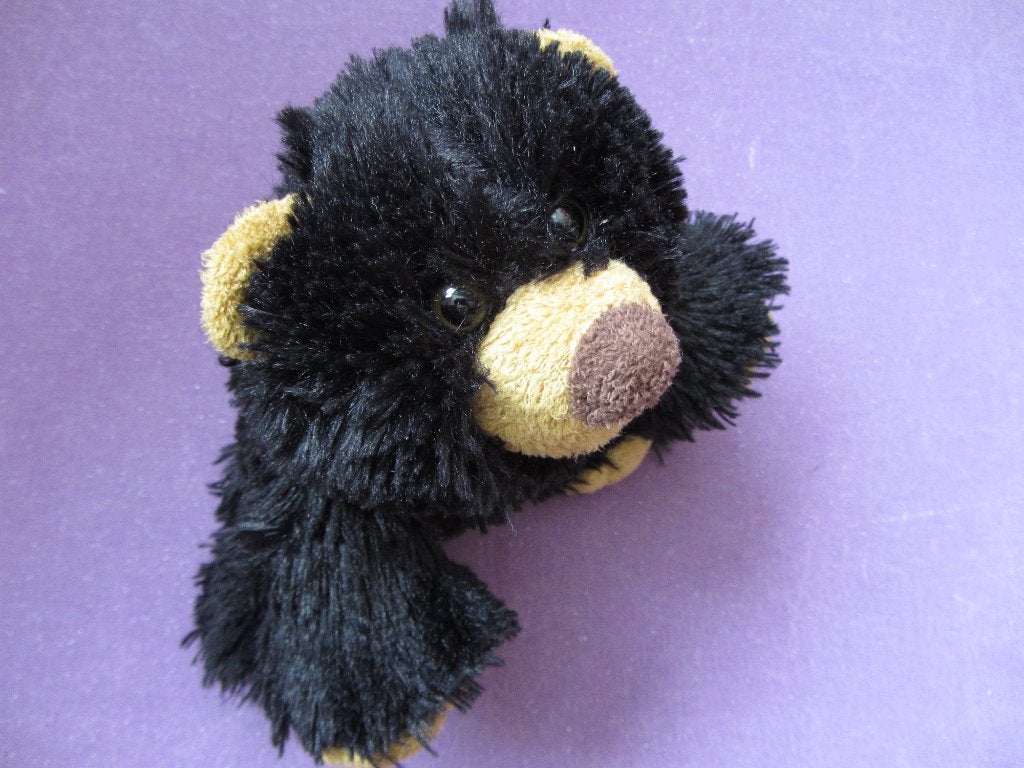 KIKA Knuffel BEER MET KRAAL OGEN. 20 CM. ZWART **Nieuw**, Beer, Nieuw, Zwart, Ophalen of Verzenden