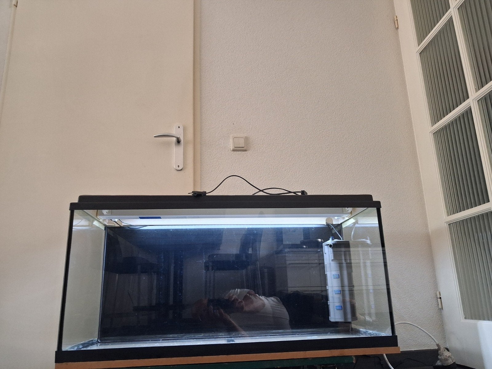 Kras vrij aquarium, Vis