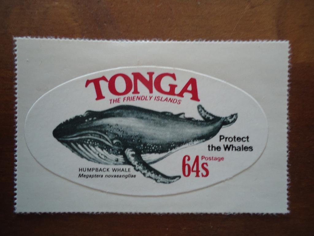 Walvis Tonga 1977, mi. 633 postfris, Ophalen of Verzenden, Postfris, Dier of Natuur