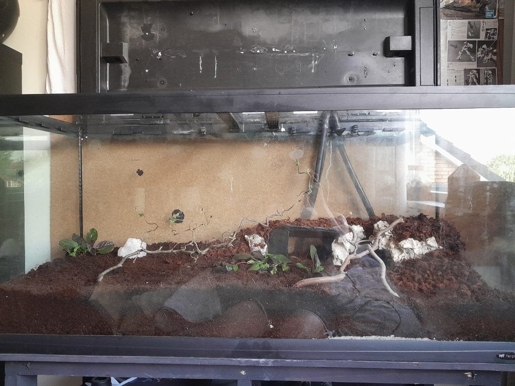 terrarium/aquarium, Dieren en Toebehoren, Vissen | Aquaria en Toebehoren, Ophalen, Gebruikt, Leeg aquarium, Overige merken