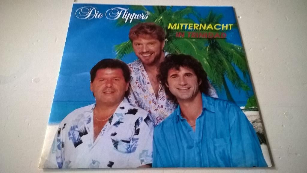 DIE  FLIPPERS, Ophalen of Verzenden, Zo goed als nieuw, Overige formaten, Levenslied of Smartlap