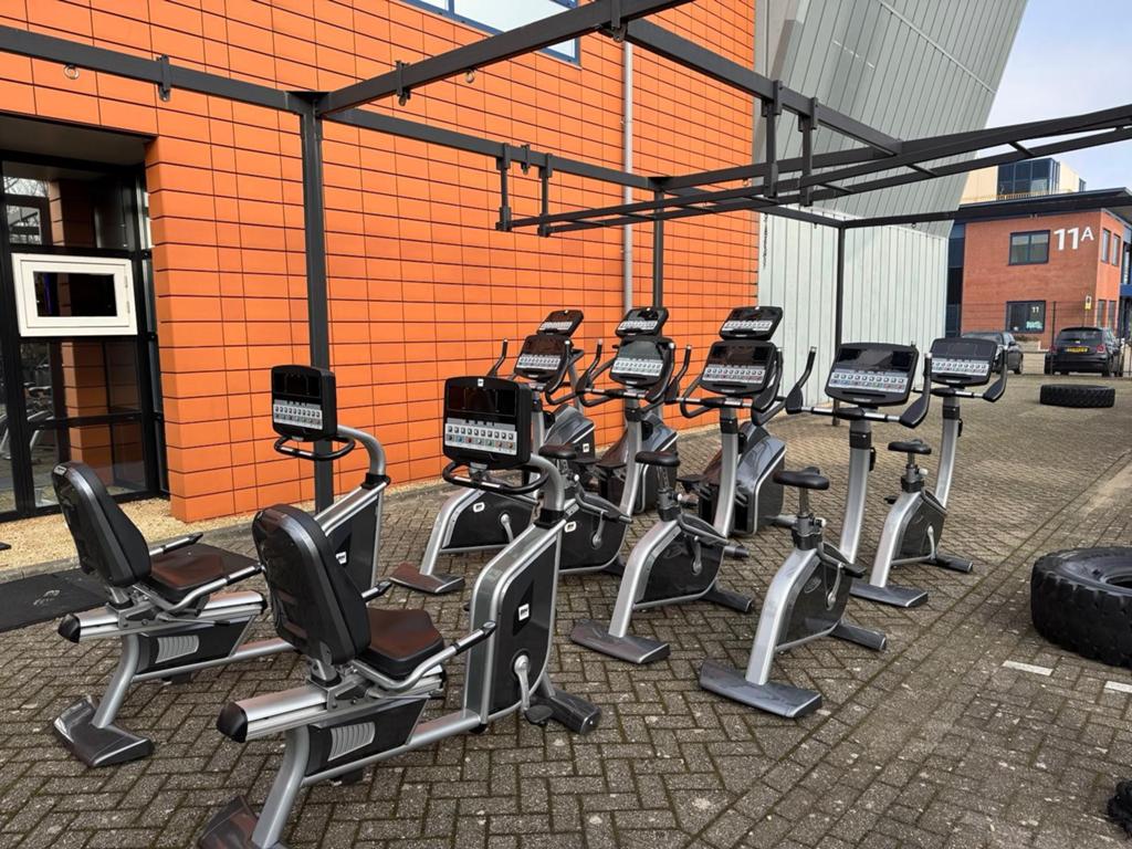 BH Upright Bike - Professionele Hometrainer, Ophalen, Gebruikt, Metaal, Benen