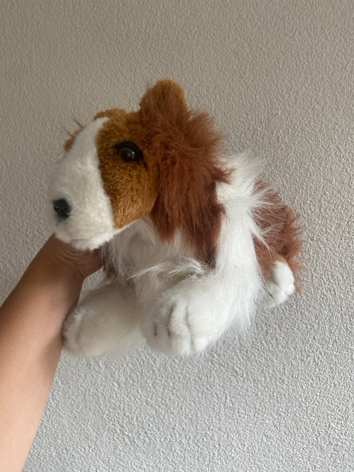 Douglas sheltie lookalike   - Bruin en wit, Overige merken, Overige karakters, Middelgroot (20 tot 80 cm), Bruin