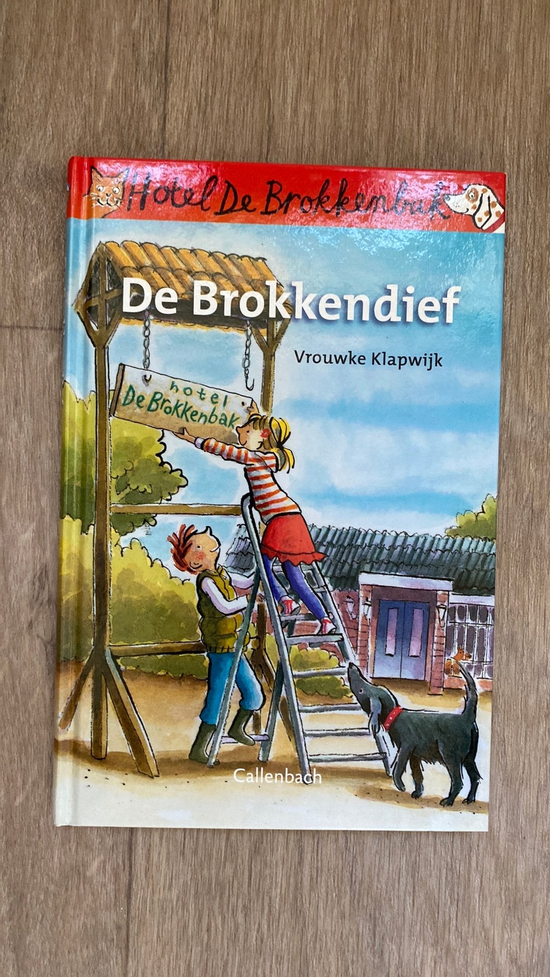 De brokkendief, Vrouwke Klapwijk, Fictie algemeen, Ophalen of Verzenden, Zo goed als nieuw