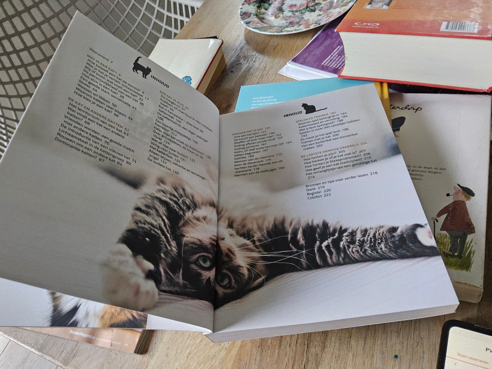Als de kat het voor het zeggen had..gesigneerd Liesbeth Puts, Ophalen of Verzenden, Zo goed als nieuw, Katten, Niet gespecificeerd, maar gesigneerd