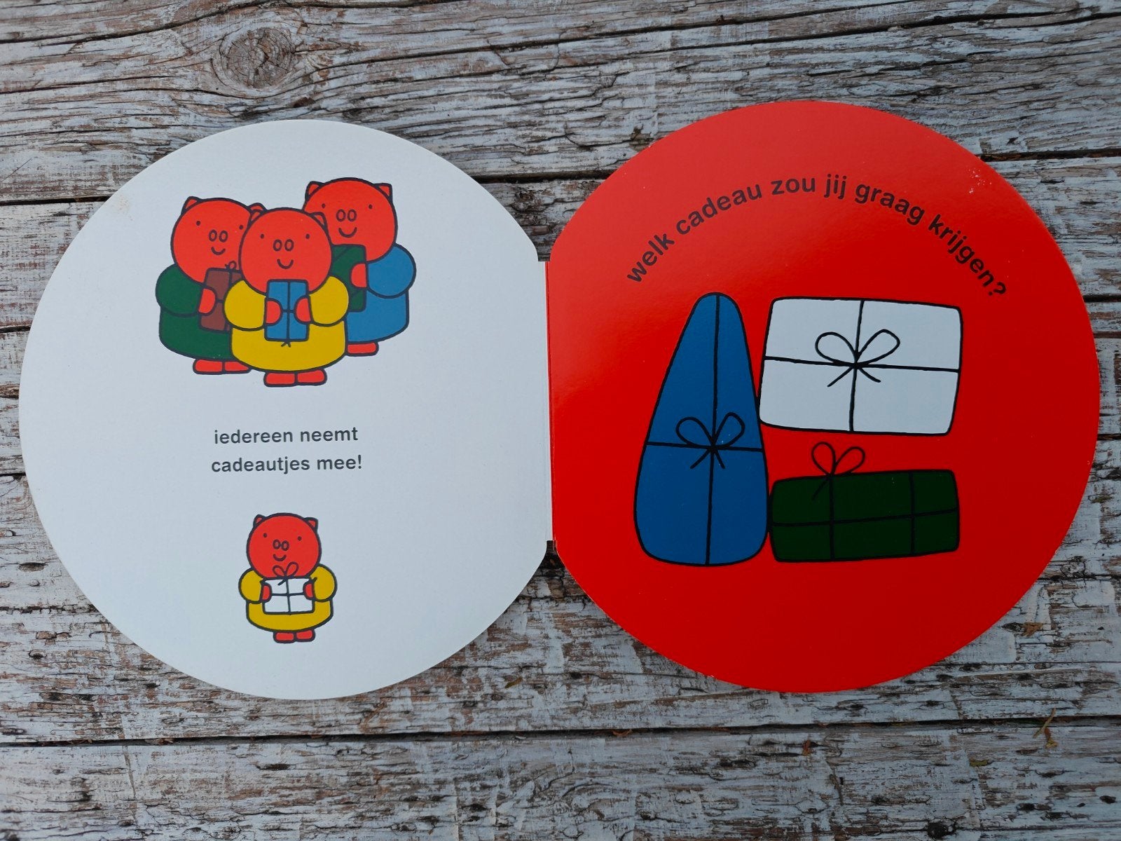 Nijntje en haar vriendjes vieren feest., Ophalen of Verzenden, Zo goed als nieuw