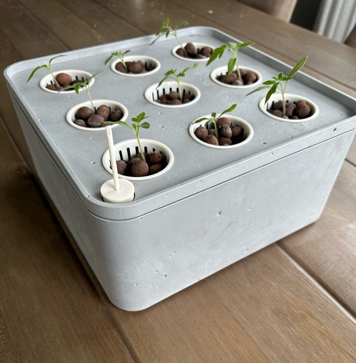 Keter Farm Box / Kweekbox Set - 32 x 29,5 cm - Hoogte 15 cm, Tuin en Terras, Kweekspullen, Ophalen of Verzenden, Nieuw, Kweekkast